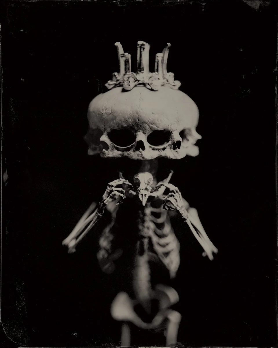 Art Studio「SHOT!」Skeleton Baby The Infant King — PAUL NITSCHE